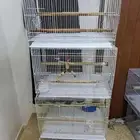 أستاند 601 مع الأقفاص (( تم البيع ))