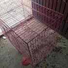 شبك كبير