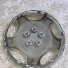 الجموم