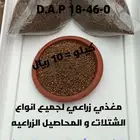 بذور ورقيات وخضروات انتاج الاحساء
