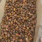 تمر ربيعه ناشف للغنم