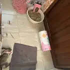 تم تبنيها وربي يعوض