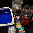 اغراض واكل للقطط جديدة