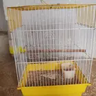اقفاص جديده واقفاص مستعمله نظيفه جدا