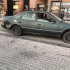 الاحساء