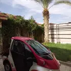 الدلم