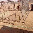 شبوك حلال للبيع مستخدمه