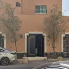 4شجر سدر وزيتونه
