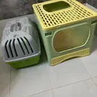 مستلزمات قطط