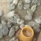 صوص فيومي المنيوم تم البيع