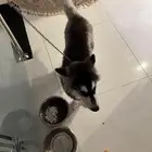 حي ولي العهد مكة