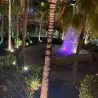 طاقة شمسيه