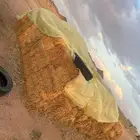 برسيم مخزن مخلوط