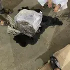 قير متسوبيشي اتراج 2020