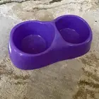 قط للتبتي