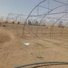 بيوت محميه عاديه متبقي 8 جديده