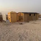 تجهيز مخيمات بيوت شعر خيام حمامات سواتر