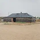 للبيع بيت شعر 16 7