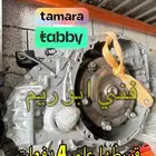جير بكسات شد بلد مازدا 3 مازدا 6