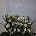 ورد استقبال