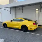 جنوط موستنج راوش
