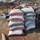 سماد أغنام لأهل المزارع