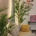 للتقبيل صالون اطفال