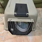 بيت قطط او كلب مقاس كبير جديد