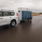 اي فور وليم للبيع