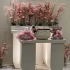 منسق استقبالات ومداخل