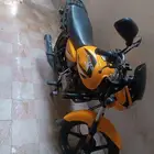 دباب بوكسر بجاج هندي 2024