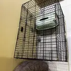 قفص كبير قطط وكلاب