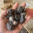 للبيع تمر ناشف للغنم