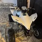 دباب رابتر ياماها