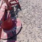 حصاده اعلاف