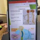 تاب لونوفو 12 7 انش