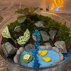 للبيع تيراريوم تم البيع