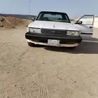 كرسيدا 93 شد بلد على يد شايب