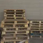طبليات