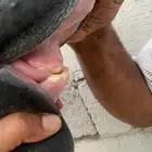 مهره واهو
