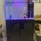 حوض سمك كبير