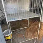 استاند عرض حمام