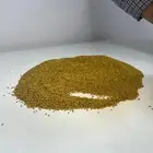 بذر برسيم حجازي او بلدي