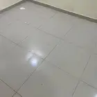 مطلوب شقة غرفتين وصالة