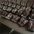 للبيع زغليل حمام فرنسي ابيض وسلفر