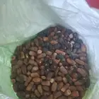 علف مواشي نظيف وجديد 2025 للبيع البيع لاعليدى سوم