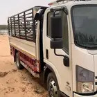 دينة ايسوزو 2023