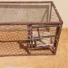 شبك طيور كبير وصغير للبيع
