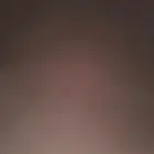 ابحث عن راعي باكستاني ابل