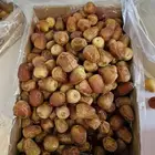 سكري تمر رطب الجبيل الصناعية